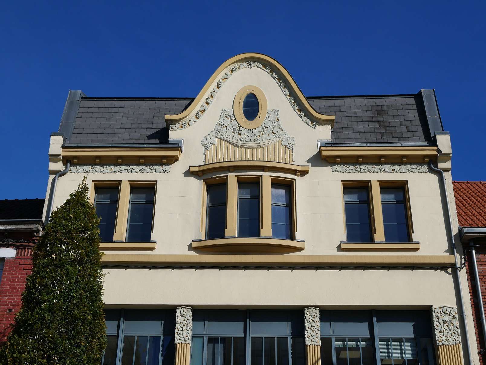 P1000678 BD
